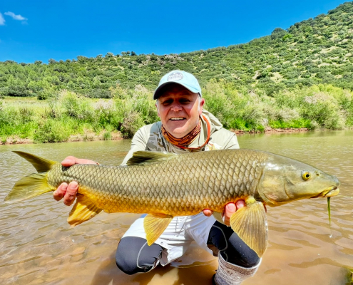 Best of Spain Combo Tour Collage 2