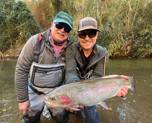 Destination X Collage 13