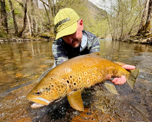 Destination X Collage 14