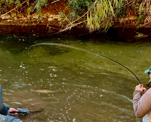 Destination X Collage 9