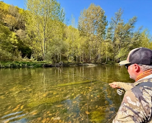 1 destionation x collage 2 1030x772 1