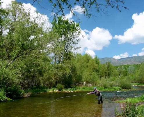 10 destionation x collage 12 1030x645 1