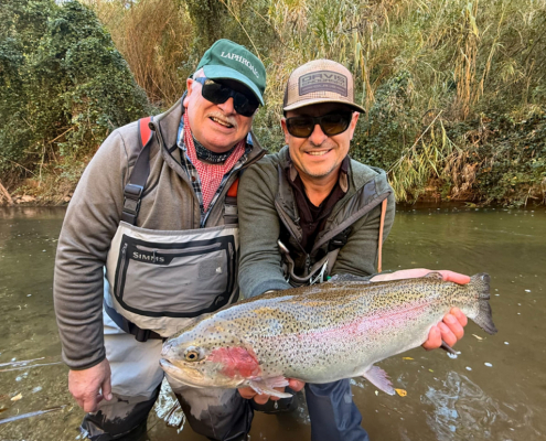 11 Destination X Collage 13 1030x760 1