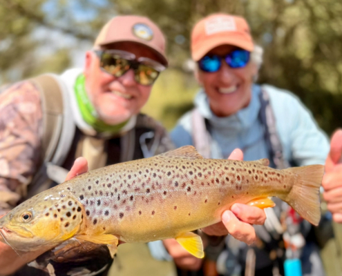 2 Destination X Collage 3 1030x769 1