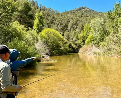 3 destionation x collage 4 1030x774 1