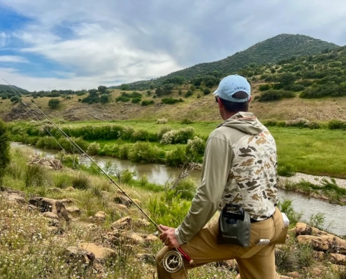 5 destionation x collage 6 1030x773 1