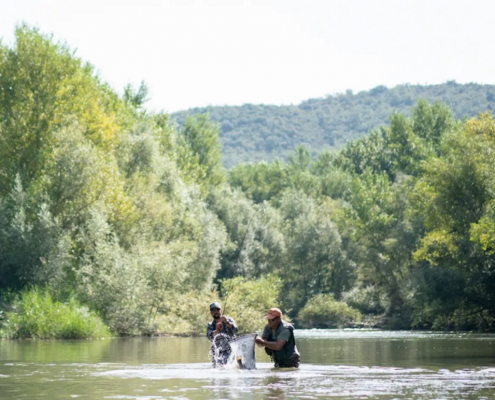 6 destionation x collage 8 1030x682 1