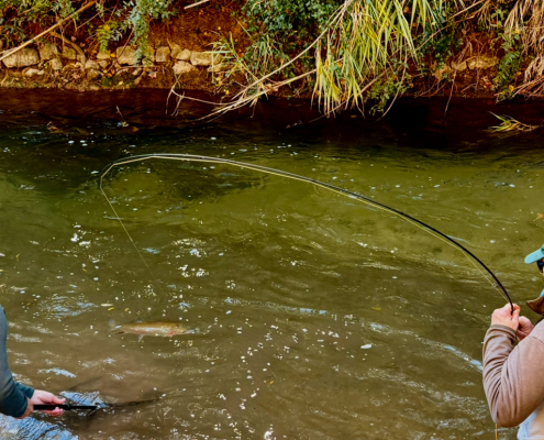 7 Destination X Collage 9 1030x760 1