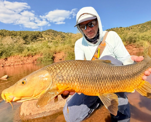 9 Destination X collage 11 1030x789 1